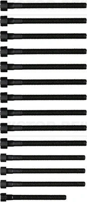 Cylinder Head Bolt Set